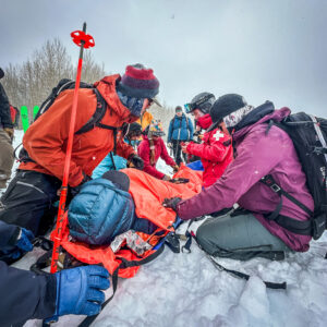 Professional Avalanche Search & Rescue