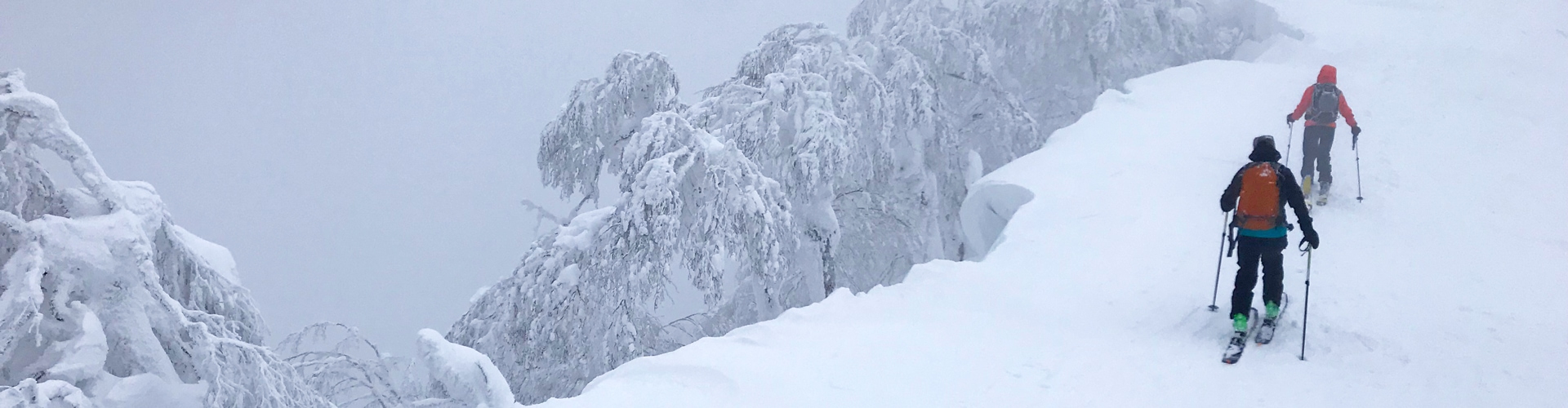 Partners American Avalanche Institute